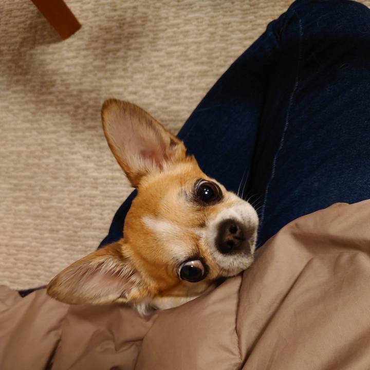 Df41ef0a c42d 440b adcf 3c7f002f618f 1710232791027