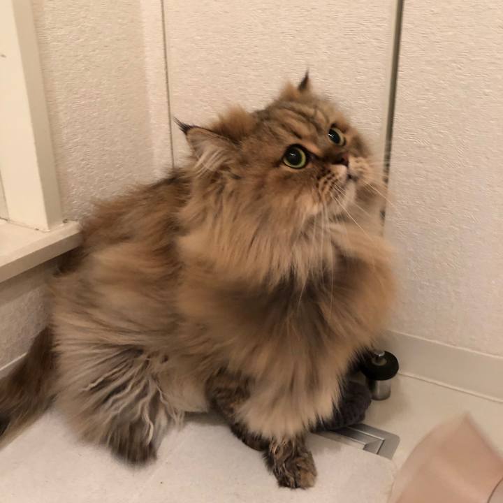 Df4217f0 f483 4b3a a40a 859fe86cfae3 1542719348162