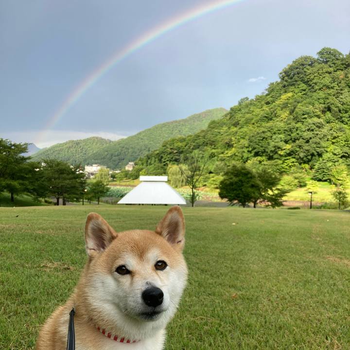 Df422cf5 b402 48fd bf0d be475dc6f365 1724659501383