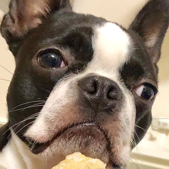 Df425384 18b9 4df3 b8be 95db463649d3 1529578061990