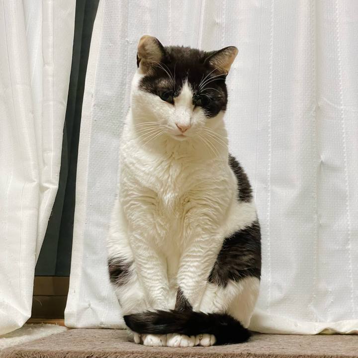 Df4285c9 8fc3 49f0 b615 489d954467cd 1653792905786