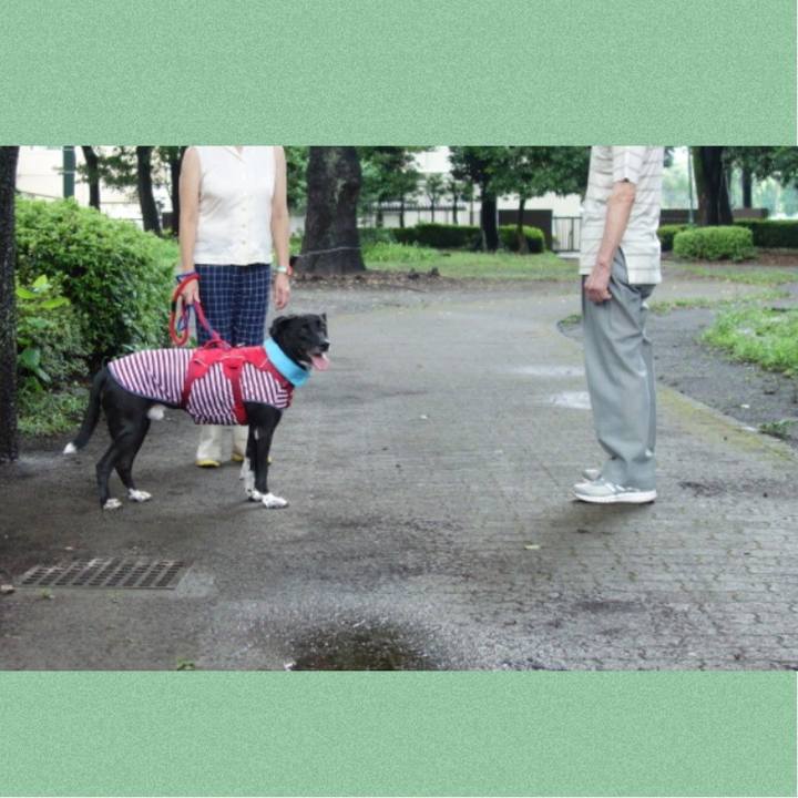 Df42af1c a1d7 40d8 9334 60cf7f0eb2b9 1627690049646