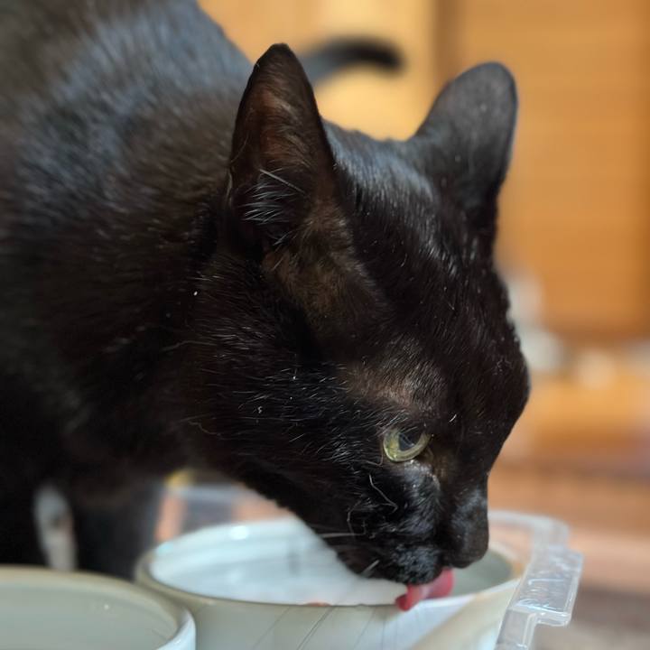 Df42b60e b03a 4286 b6b5 75c7b2c690e5 1664676033242