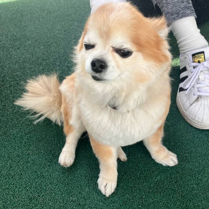 Df42f016 da92 4d55 8599 371ed8056071 1772201063729