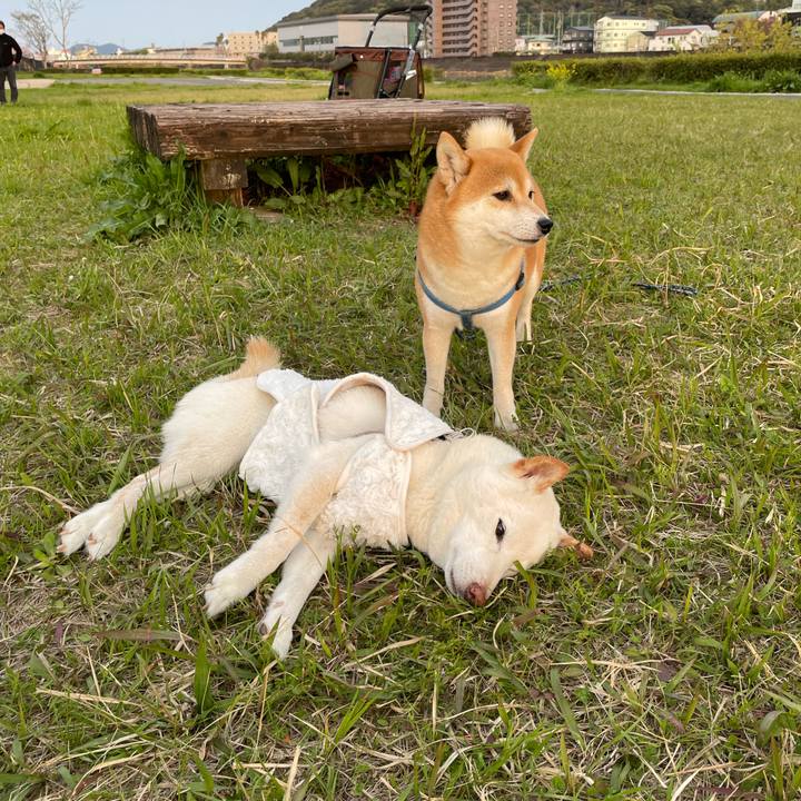 Df435599 ad77 4856 98ed 93fadc87fb6e 1648901919517