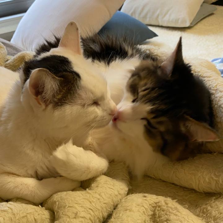 Df43563d 83e7 4ddf 92f9 66f6237f5620 1674435065516