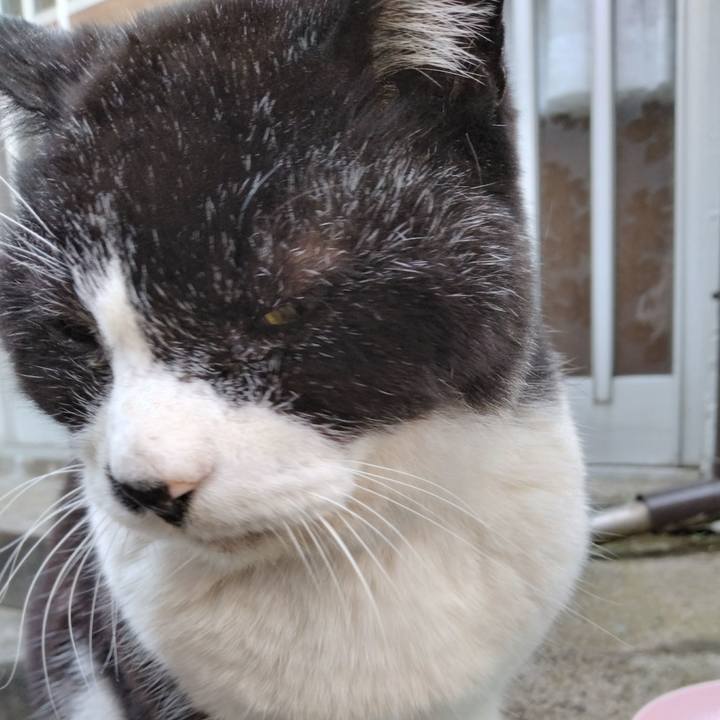 Df4387ca 7009 41f4 858c 3dd5dec9abe7 1707637182057