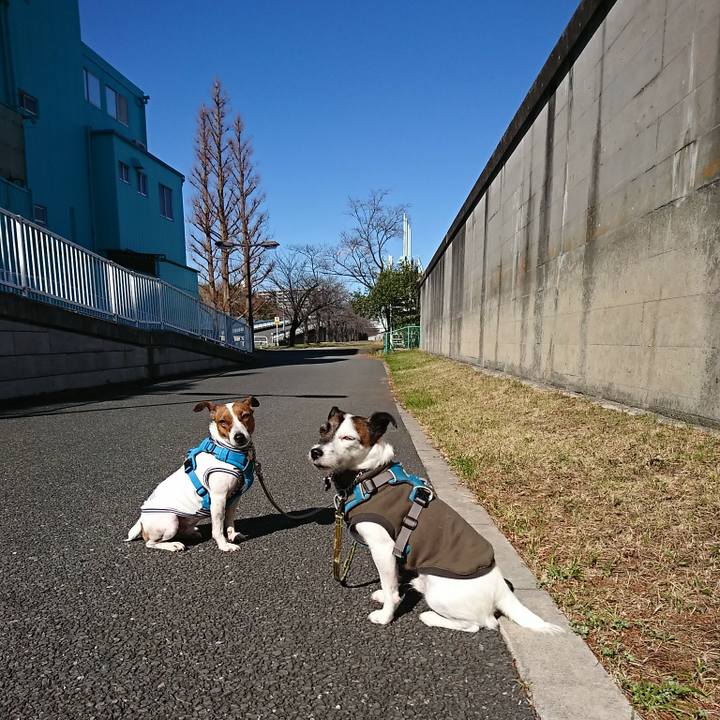 Df439944 cbee 41d0 b990 ad7965e756b9 1580526037156