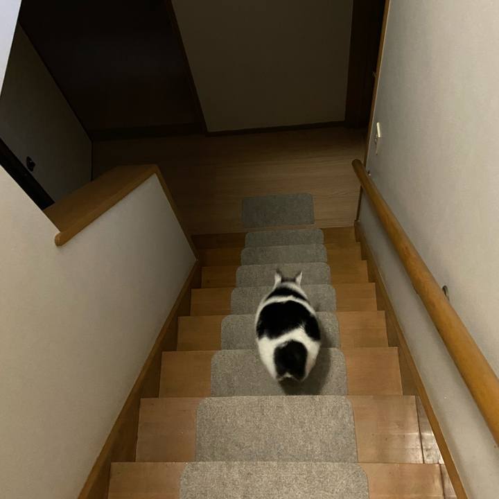 Df439cdc c6cb 4c48 ac87 d875633d1ef1 1583243427120