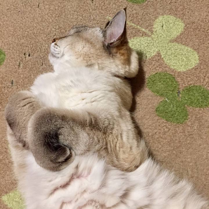 Df43cf09 8805 4a7b add6 3a08b58abb75 1574477919359