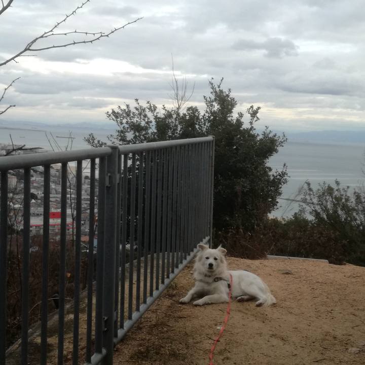 Df43e18e bf22 4c5b a092 51e8c5d778c8 1514452623362