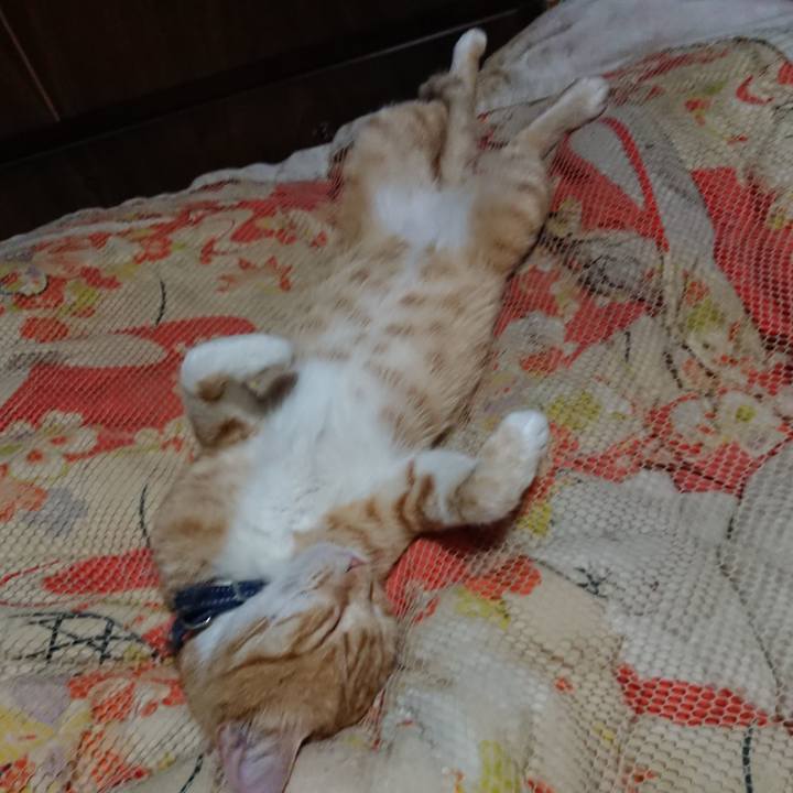 Df4447ba c20d 4790 b1de b08196fb13c1 1561124088093