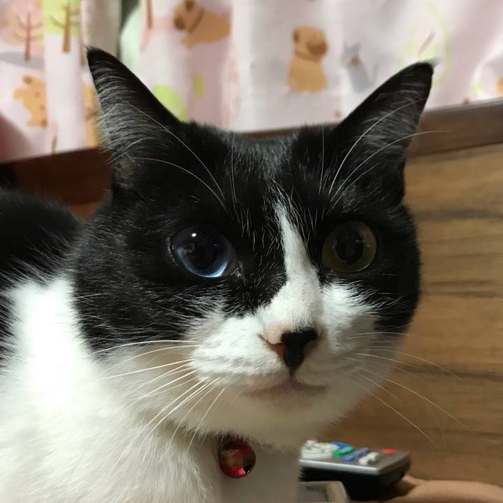 Df444c25 d4d3 4dba b0e6 c016544ae1e4 1550239850389