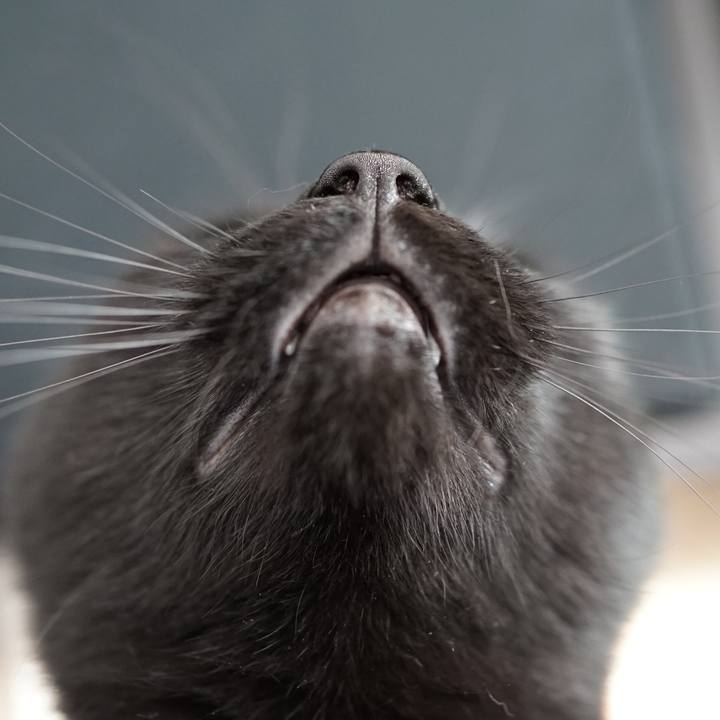 Df44981d 803f 46d4 8a2c fd4e62f61596 1559351899591