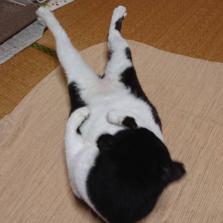 Df44aa76 554c 4527 9fe2 b2e6f15fb2c5 1601289264202