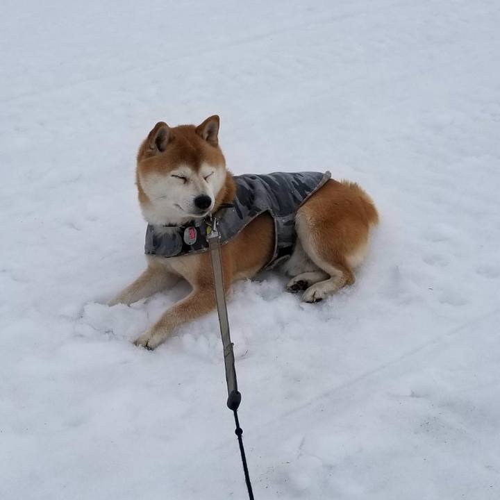 Df44c054 aad8 4332 a4ff 15955cf0b30a 1614913604603