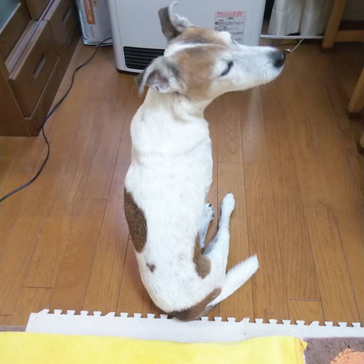 Df44c58c 04e7 4102 b1f6 c1a24364dfb0 1573262217393