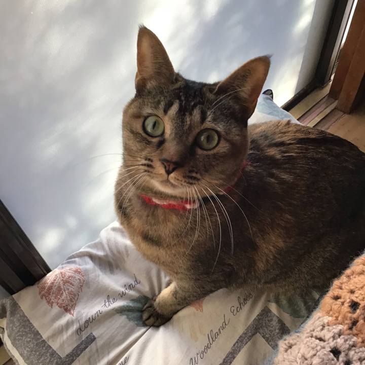 Df450dda 6215 48cd ac9c 07bac17ed70f 1611965024931