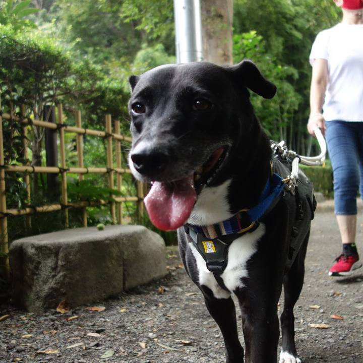 Df456c8e 7231 48a5 8ca2 ef1ad88948a8 1662509687276