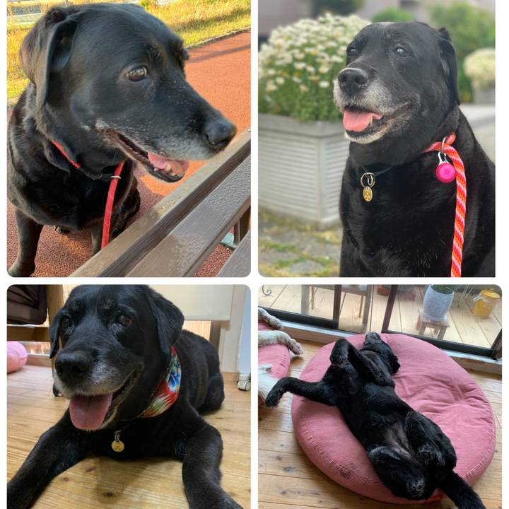 Df456de2 5c40 4b4f a90a ec18bb209a4d 1660262068432