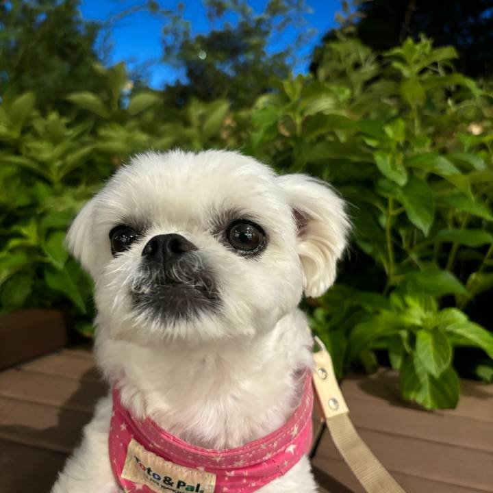 Df45746f 1cad 47e5 9d6b 89273a86f55e 1724795748947