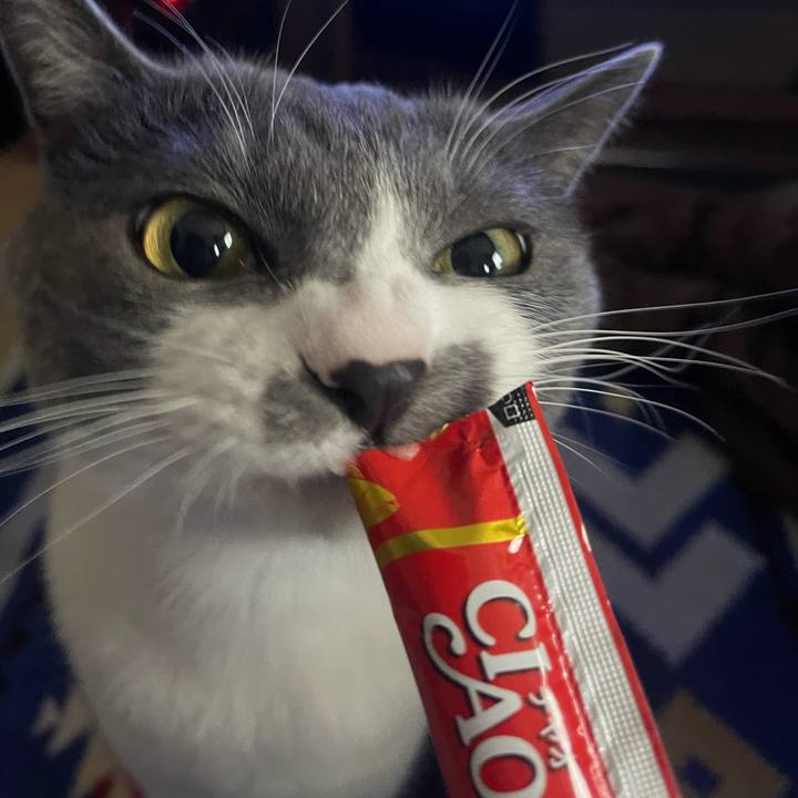 Df45961f d55b 4664 8dff 6cbb2dc9fdff 1675752324075