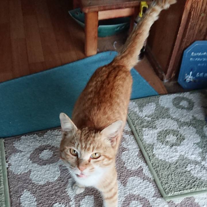 Df45c336 81e9 4916 9f4f af2b7691374e 1554367785203