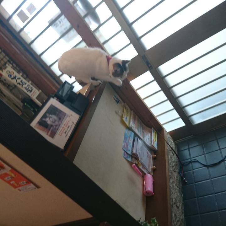 Df45d1d1 49b1 4081 9fbd 2c9e8d535bb8 1533011434478