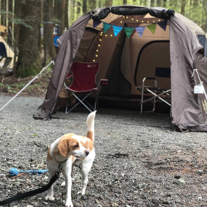 Df45f8b7 edba 4f8d 955e 244d36b1b279 1556612024373