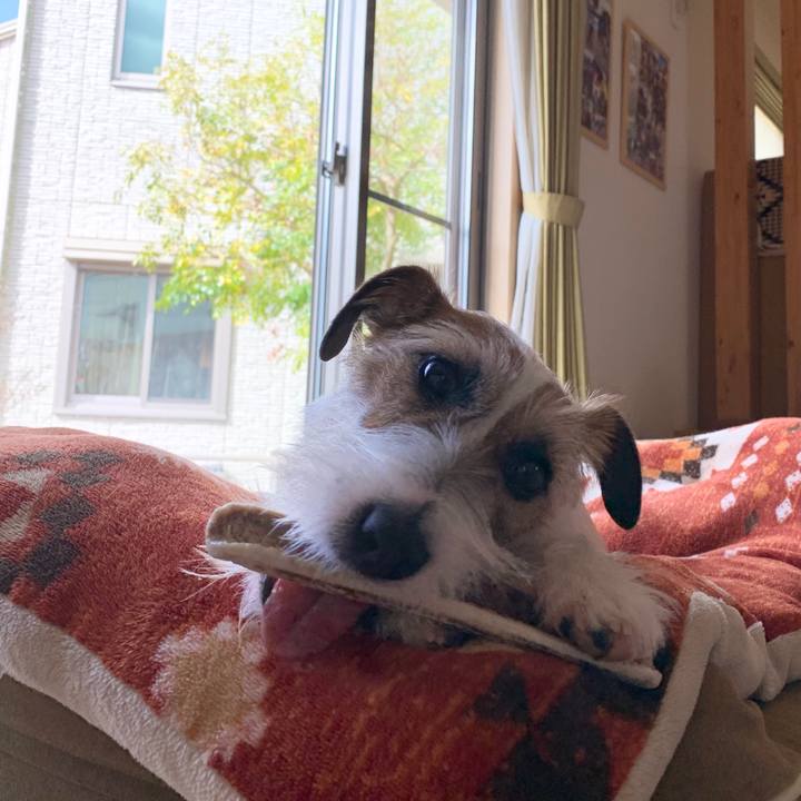 Df462cb9 fdb0 43fb 9ff8 b83f25c44976 1585786005116