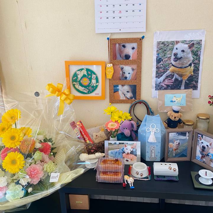 Df463e51 0936 428a 8826 163d259e0972 1668044286835