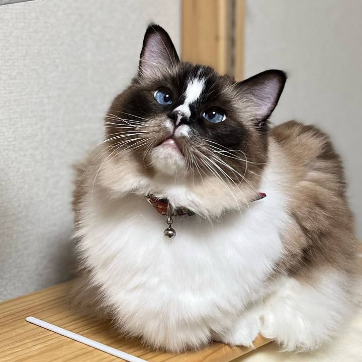 Df46402f 5e76 43cd 9fee dd2158ecb3db 1659878663390