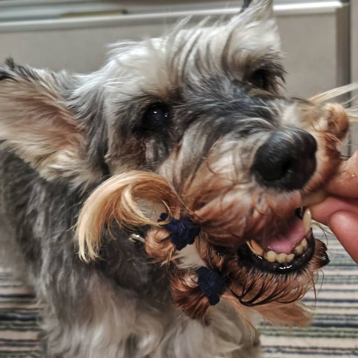 Df465d06 319a 4ffd a3a3 9140031ac9c6 1757376910757