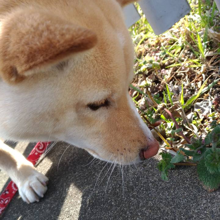 Df466f3e cda4 4191 a23a 8c40c8797c5a 1519989658577