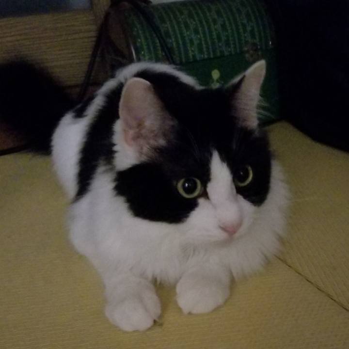 Df46a816 14a0 4f37 8556 55c1654ba61e 1538635244202