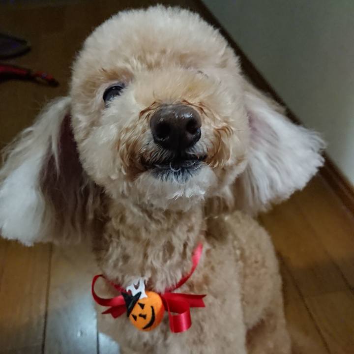 Df46a834 4f02 48ac 81e3 e91f10376017 1571042924972