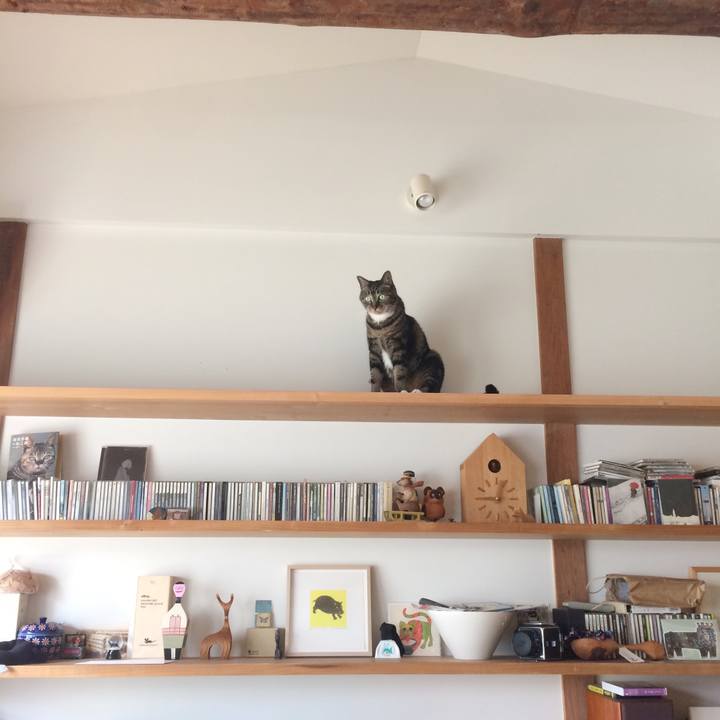 Df46ac8d 96ad 4fa0 ae23 bfb82dcaf8b4 1567901883986