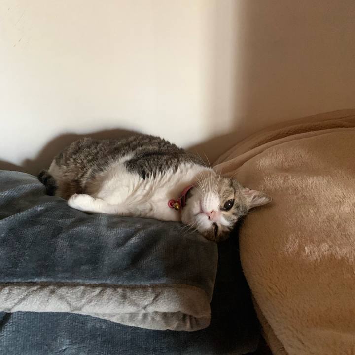 Df471e8f 120f 483b a476 71953a9cbad0 1655595584995