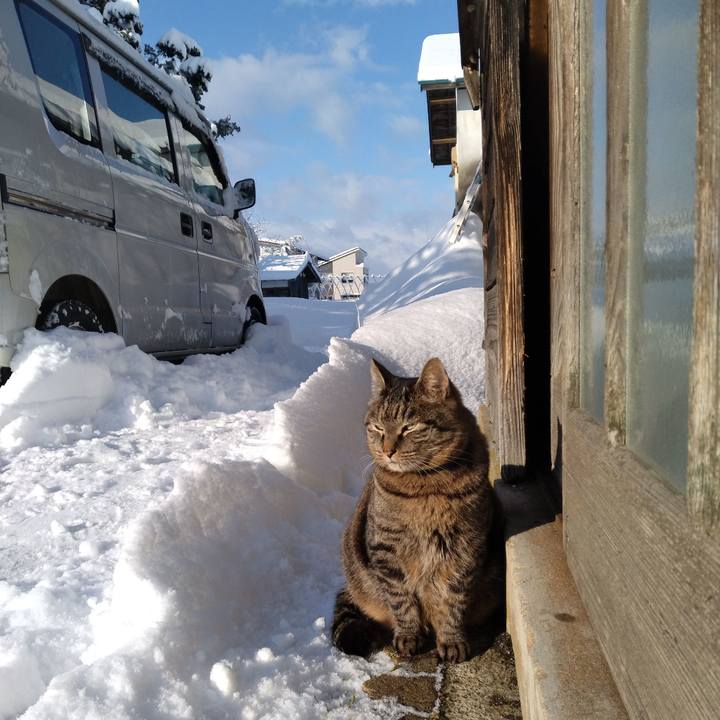 Df4755a3 5da4 4670 b184 c9ac9870ffd5 1676071114214