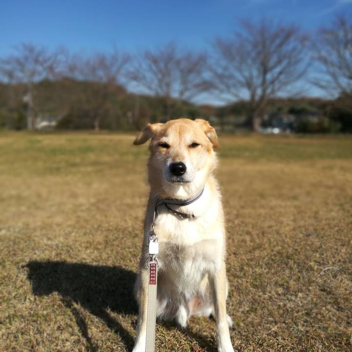 Df4761df 3957 46b3 a702 2f854be0b1a1 1512550072516