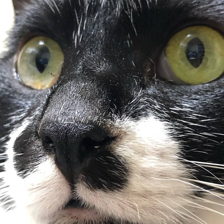 Df478656 0fb1 45f7 bdac 177c2470a8ef 1551960079696