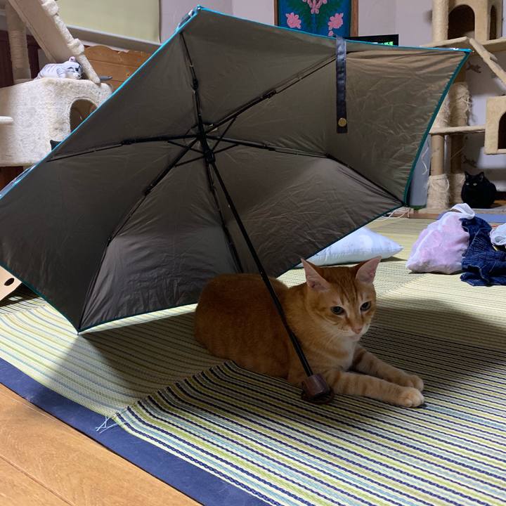 Df4794b3 fe4f 4f1f b7f4 d28ea5fd2bff 1560622695381