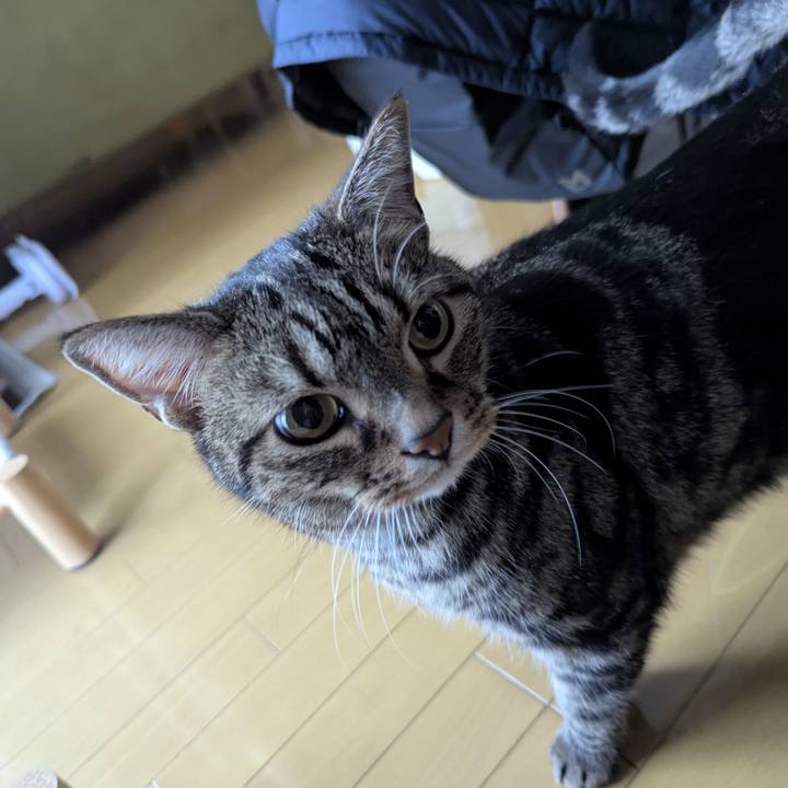 Df479902 d66c 4095 adb3 99f16d42493a 1740696560649