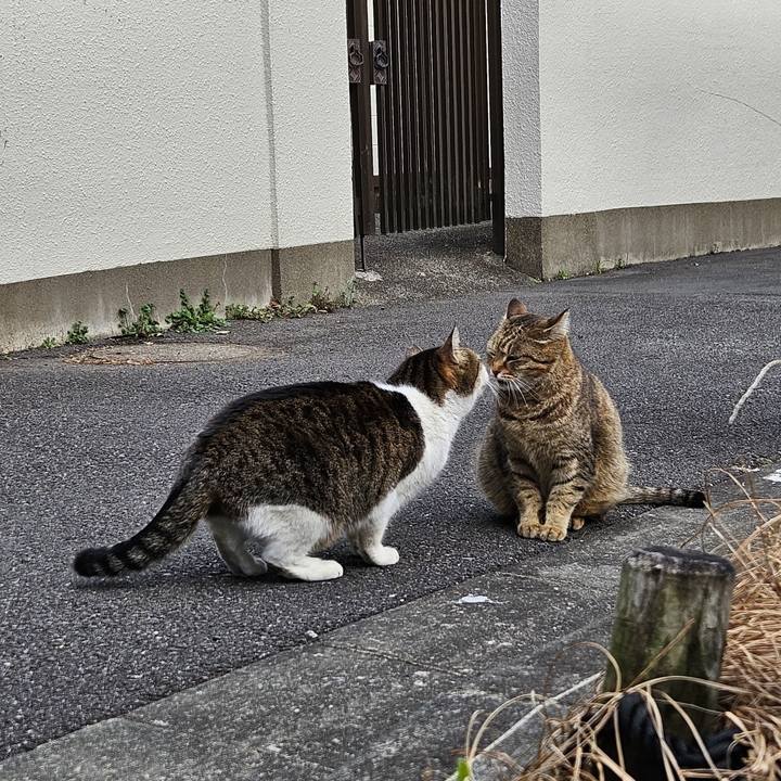 Df47a3c0 ef38 4e5d bf4a 5e75f2b952a8 1706948439708