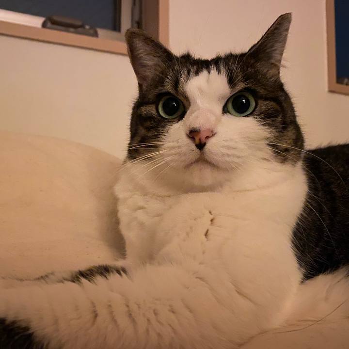 Df47ce1b adc7 4270 a394 91e4bf5223e0 1600266710389