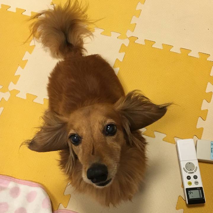 Df48196f 3cc5 46ee 8ece 5a6aa61940ff 1564062200709