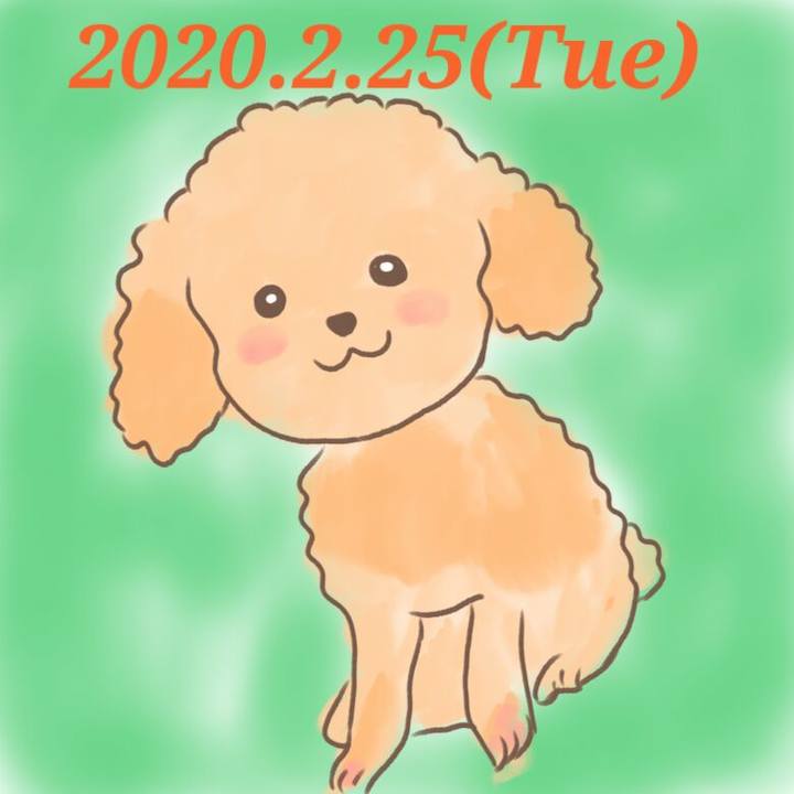 Df483c72 21fb 4142 ae86 0f6f0377ac9d 1582635304128
