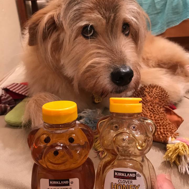 Df484bcc 982b 476a bd4a 4dc58e34ff69 1568115028859