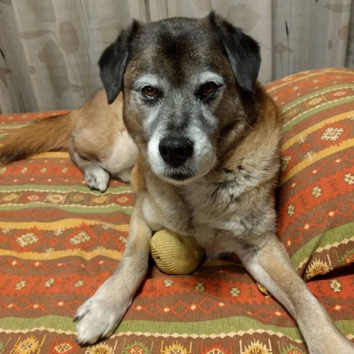 Df48a179 9f03 4230 8b19 6f6ccb93e50d 1552043890450