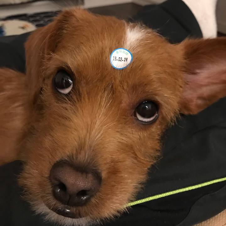 Df48ade2 4557 4dc7 8299 18dc31e21c2a 1551341020023